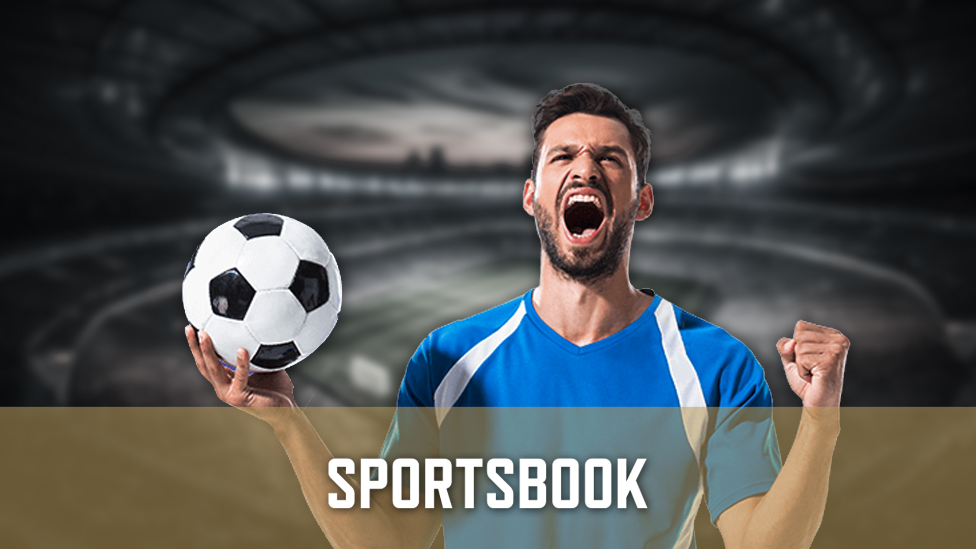 Sports Book